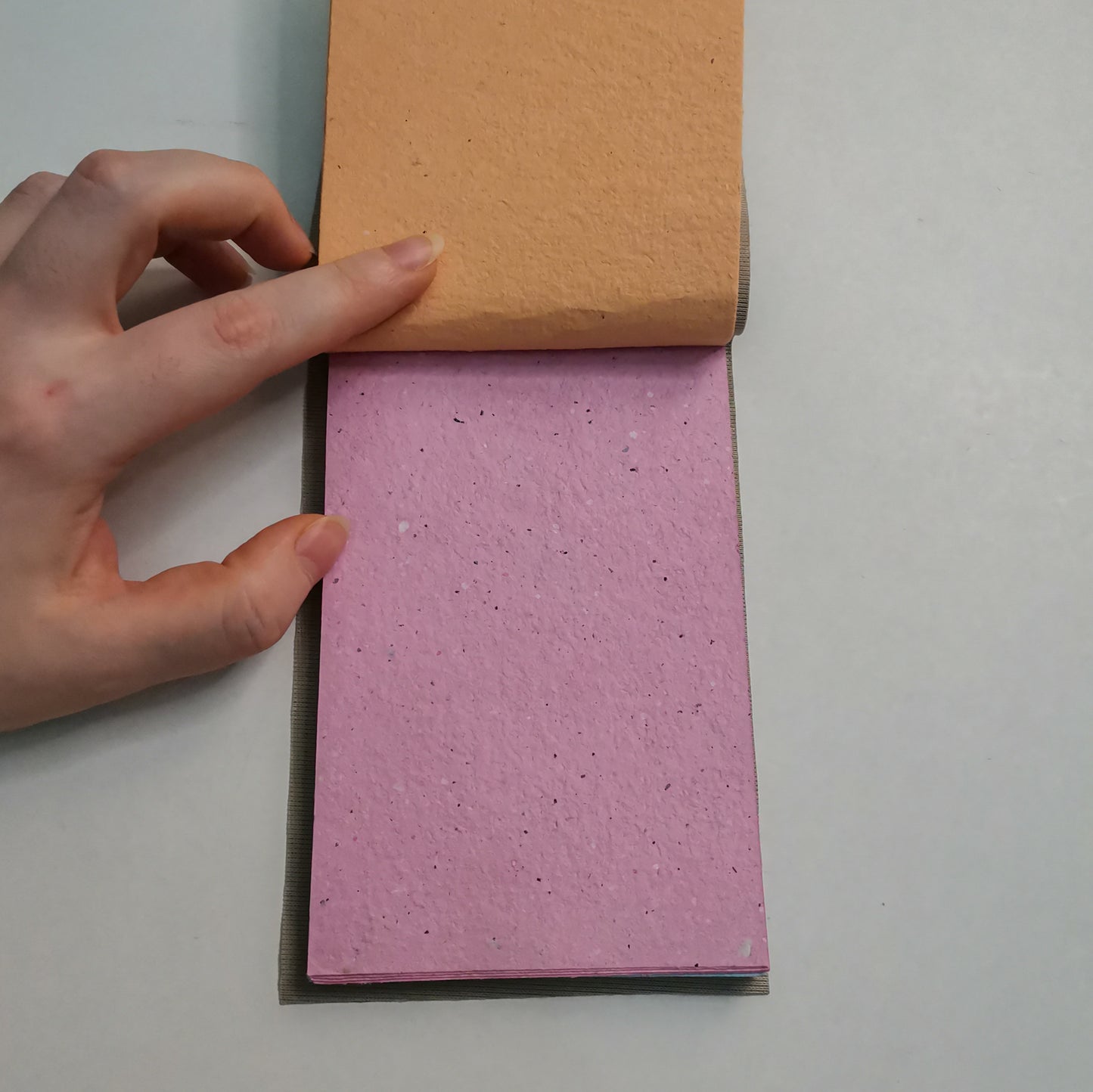 Customize Your Notebook